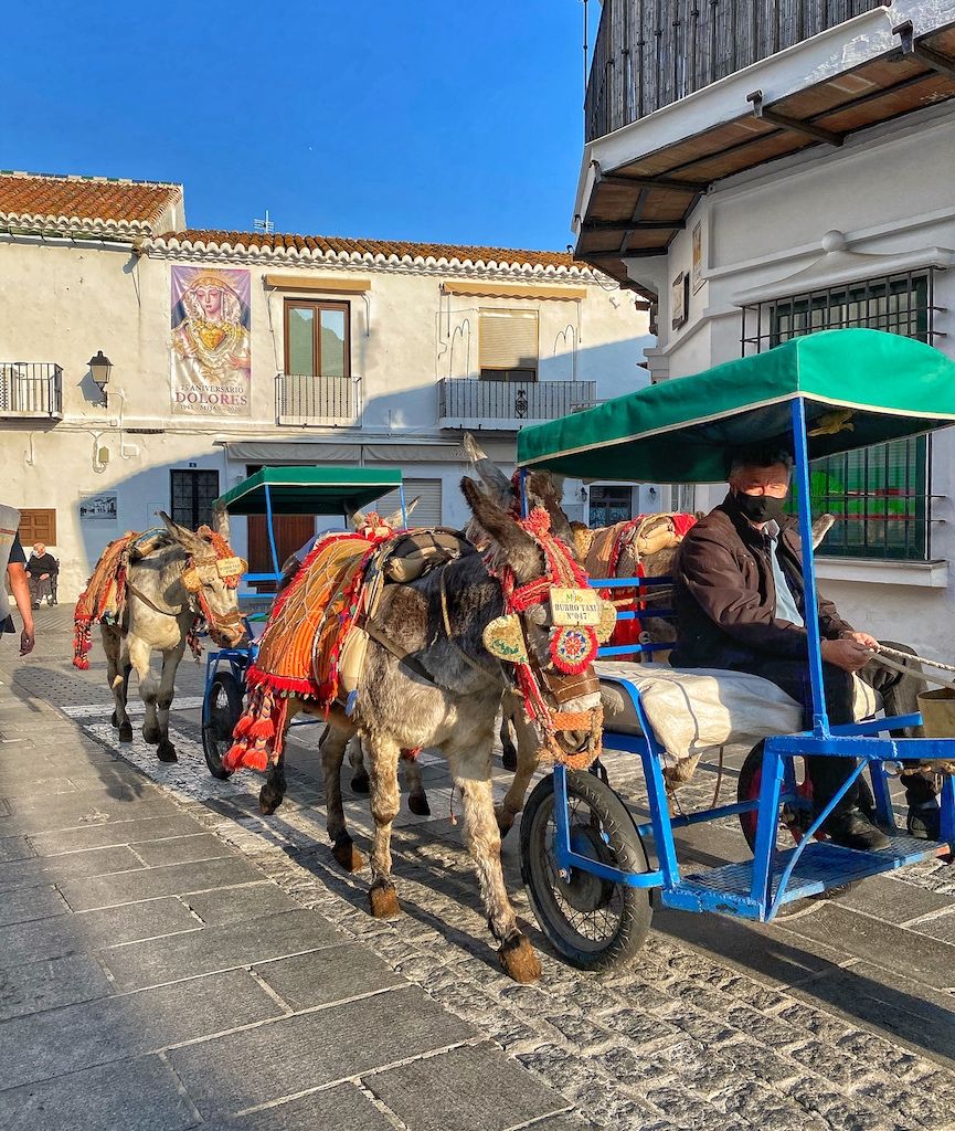 burro taxi en mijas pueblo